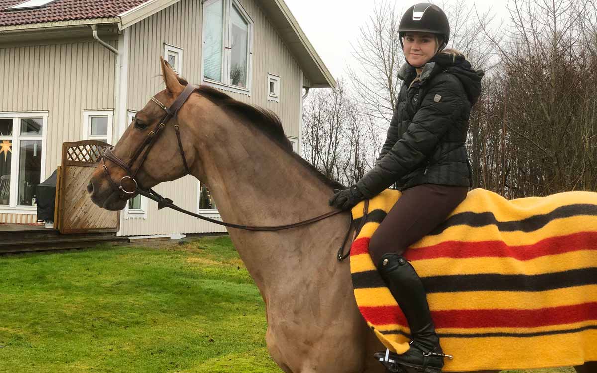 Team RZ Equestrian – Incredible vd Laarse Heide